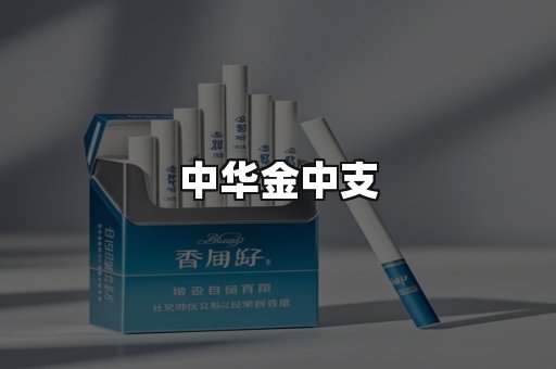 中华金中支